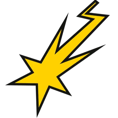 Flash
